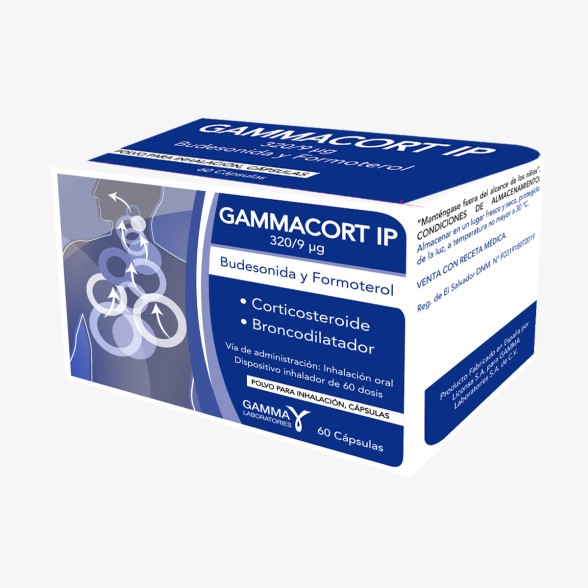 GAMMACORT IP 320/9 ug POLVO PARA INHALACION, CAPSULAS